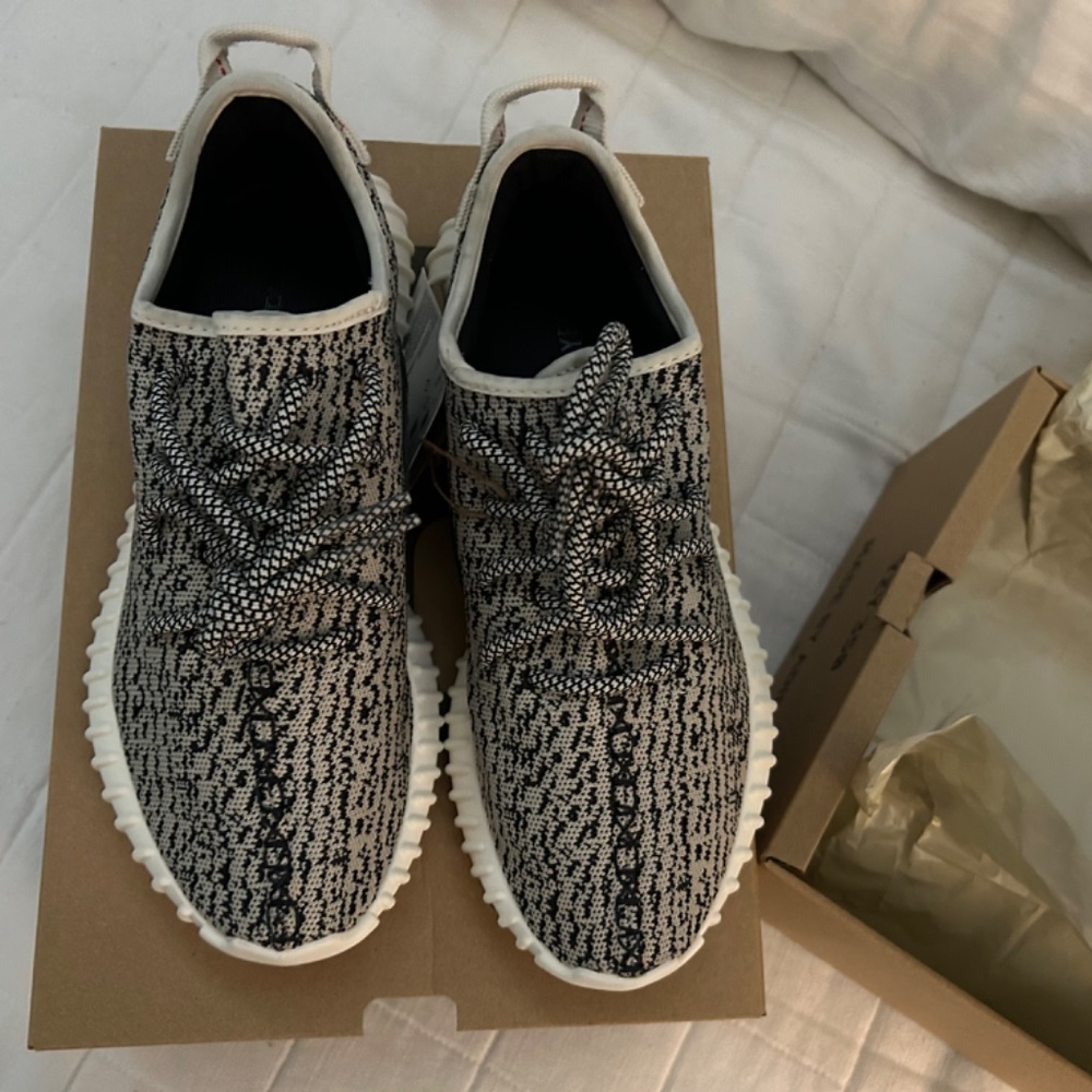 Yeezy Boost 350 Turtle - Picture 4 of 14
